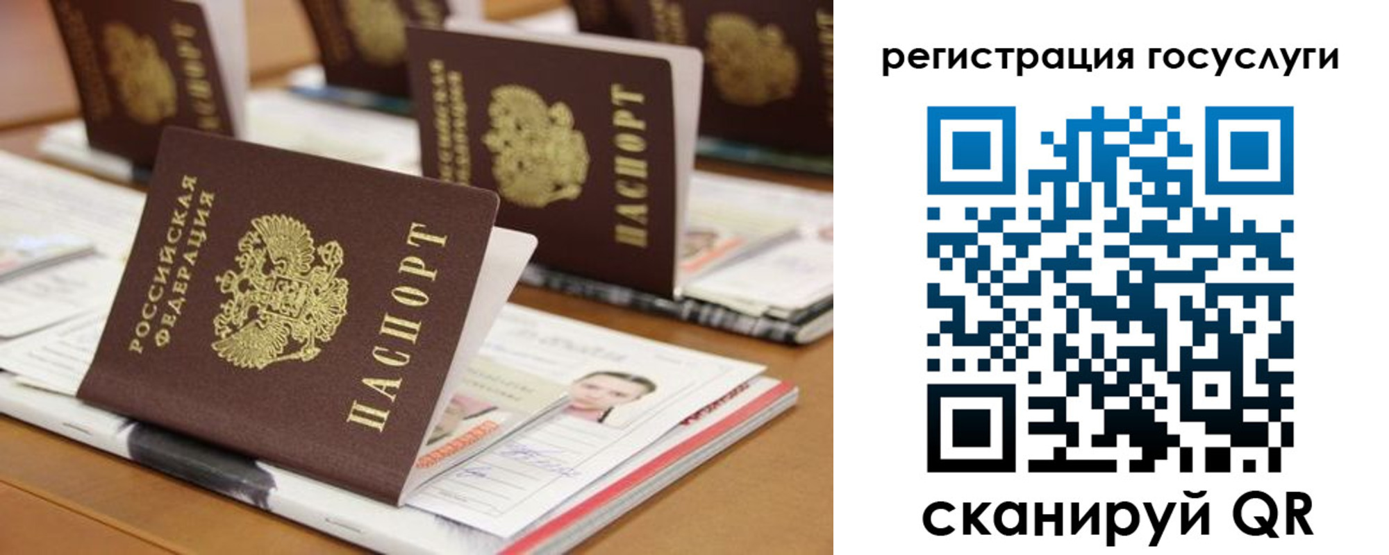 прописка в Элисте